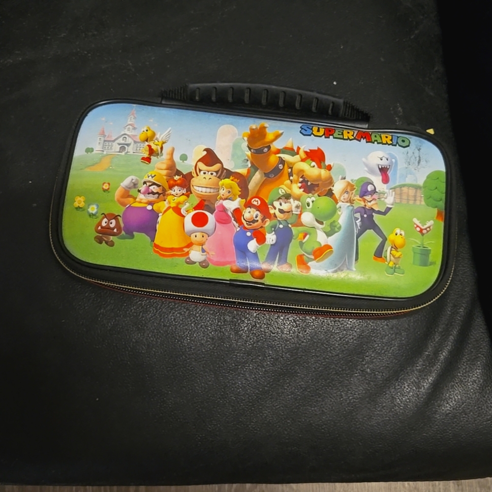 Nintendo case